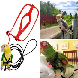 Andere Vogel Benodigdheden Papegaai Harnas Leash Verstelbare Training Anti-Bite Touw Voor Papegaaien Geschikt Scarlet Keck Mini Ara Vogels