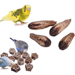 Autres fournitures d'oiseaux pour animaux de compagnie Pouet naturel des jouets à mâcher des blocs de fruits séchés décoration de la maison pour soulager l'ennui en gros