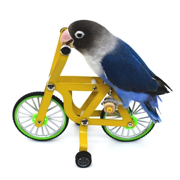 Autres fournitures pour oiseaux Jouets d'entraînement pour animaux de compagnie Perroquet Intelligence Puzzle Vélo pour perroquets et s Trick Tabletop SL 230130