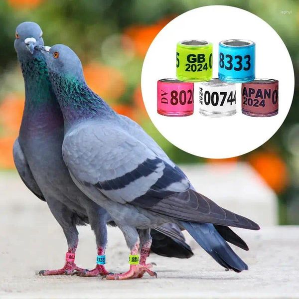 Autres fournitures d'oiseau Pigeon Identification Anneau de pied avec des oiseaux Numéro marquant 50pc Bands ACCESSOIRES DE TRAPALIT