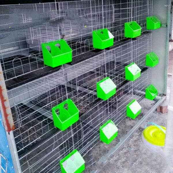 Otros suministros para pájaros Paloma Alimentador de plástico Colgable Comida para mascotas Comedero Periquito Jaula de arena Caja de arena de gran capacidad Caja de almacenamiento de dos orificios 2024