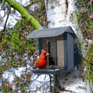 Andere vogelbenodigdheden Pinelake Outdoor Decoratiezaad voor buitenvoeders Gardentuin Hangende feeder Wild Birds