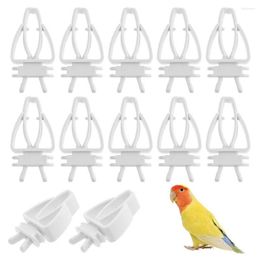 Autres fournitures d'oiseaux Fournitures d'oiseaux en plastique Support de nourriture pour animaux de compagnie Perroquet Alimentation Fruits Légumes Clip Seiche Bone Feeder Dispositif Pin Clamp Cage