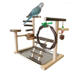 Autres fournitures d'oiseaux Birgus de jeu Résistant aux morsures Cage Birds Échelle de jouets Swing et plateau pour les carreft