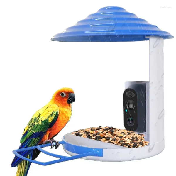 Autres fournitures d'oiseaux Solar Smart Feeder avec la caméra 1080p Vision nocturne HD AI SPECIATION AUTO CAPTURE AUTO