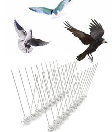 Autres fournitures d'oiseaux Spiks en acier inoxydable Ecofried Anti Climb Gard Guard Fence Mur Wall Garden Intruder Ballers C066803812