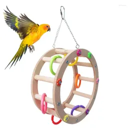 Otros suministros de aves Toyos Ferris Wheel Colorful Swing para pájaros Percares Accesorios de jaula de masticación Parrot