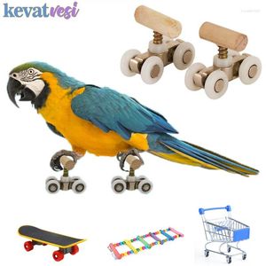Autres fournitures d'oiseaux jouets perroquet patins à roulettes drôle mini jouet d'entraînement perruche croissance perruche intelligence cage accessoires