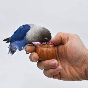 Autres fournitures pour oiseaux formation mangeoire à main pot de nourriture support en bois naturel boîte de récipient d'alimentation perroquet Puzzle interactif jouet