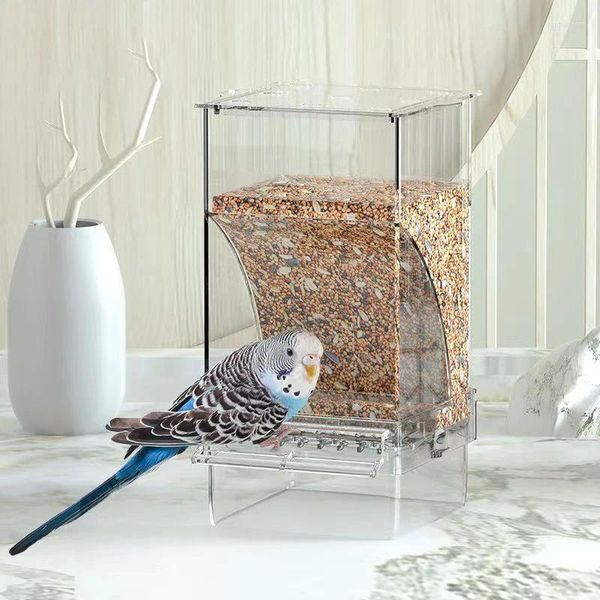 Autres fournitures d'oiseaux Transparent Acrylique Parrot Feeder Pet Hamster Automatique Anti-éclaboussures Hygiénique