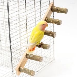 Autres fournitures d'oiseaux en bois Interactive Ladder Training jouet pour petit animal de compagnie Hamsters Claw Gringing Wooden Swing grimpant