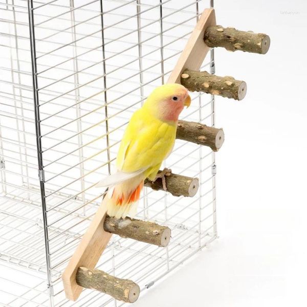 Otros suministros de aves Juguete de entrenamiento de escalera interactiva de madera para pequeños hámsters de loros de mascotas Molla de madera escalado de madera