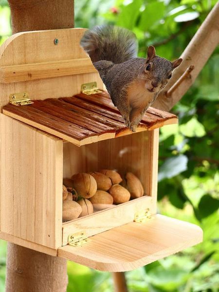 Autres Fournitures Pour Oiseaux Mangeoire À Écureuil En Bois Maison Suspendue Extérieure Boîte De Rangement De Cacahuètes De Maïs Support Pour Cour Jardin Parc Outil D'alimentation Des Animaux 230130