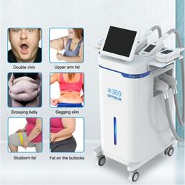 Autres carrosseries Sculting Strage Cryolipolyse Machine de forme corporelle pour la cryothérapie de la crylulite Corps Corps et appareil facial Fat Frozen Frozen