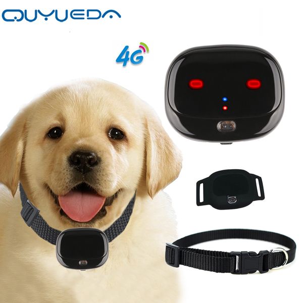 Otros suministros para gatos Mini 4G Pet GPS Tracker Collar impermeable para perros GPS con luces deslumbrantes Localizador de animales Soporte Geo-Fence Alarma de batería baja WIFI 230901