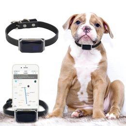 Autres fournitures de chat Localisateur d'animaux étanche intelligent Collier de localisation GPS étanche universel pour chats chiens positionnement traqueur localisation traqueur de lumière 231122