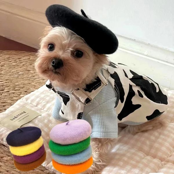 Otros suministros para perros Ins Sombrero lindo Color sólido Boina para mascotas Gato Lana Mini Decorativo P o Accesorios para sombreros 231211