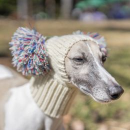 Autres fournitures pour chiens Chapeau de lévrier italien Whippet avec boule de fourrure pour animaux de compagnie en hiver, chiot en laine élastique, grand chien 231211