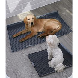 Altre forniture per cani Toilette per animali domestici Riutilizzabile antistrappo Mantieni le zampe asciutte Tappetino da addestramento per piccole medie grandi sfvcg 230313