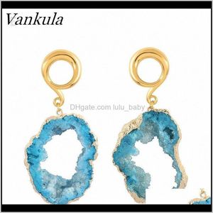 Andere drop -levering 2021 Vankula 316L roestvrij stalen piercinggewichten lichaam sieraden ooruitrekken met blauw gekleurde kristal tunnelhangers