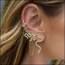 Andere oorbellen Sieraden Vintage Snake Crystal Tassel Chain Set 2021 Mode Trend Punk Geometry Stud Earring Women GIF DHTMS