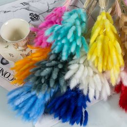 Autres fournitures de fête d'événement 100pcs véritable floral naturel fleur séchée lapin queue de lapin herbe bouquet mélangé coloré lagurus ovatus pour la décoration des accessoires de po 230425