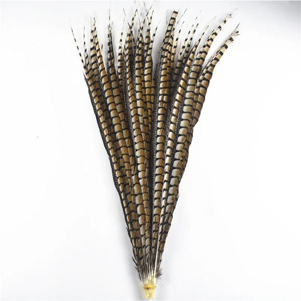 Otros suministros para fiestas de eventos 10 piezas / lote Natural Lady Amherst Pheasant Feathers para manualidades 30120 cm1248 