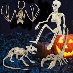 Andere evenementen Feestartikelen Halloween Decoratie Horror Skelet Nep Menselijk Vleermuizen rat spin Dierenskelet Halloween Haunted Home Horror Prop Ornament Speelgoed 231017