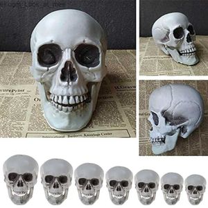 Autres fournitures de fête d'événement Décorations d'Halloween Modèle de tête de crâne artificiel Modèle de crâne en plastique Os d'horreur Squelette Party Bar Modèle Modèle anatomique humain Q231010