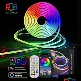 Otros suministros para la fiesta de eventos LED Neon Strip Light 35m Smart WiFi App RGB 16 Coloros Diy Imploude Waterpole Flexible Trabajo con Alexa 23 Homefavor DH0TZ