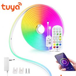 Autres fournitures de fête d'événement Autres fournitures de fête d'événement 12V LED bande néons Tuya Smart Life Wifi Bluetooth RVB signe bande salle De Dhokp