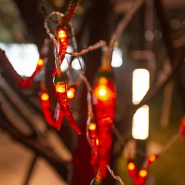 Autres fournitures de fête d'événement Red Chili String Lights 13ft 40LED Fée Éclairage Pepper USB Batterie LED Cuisine Chaîne Lumière Blanc Chaud Lampes de Nuit 231216