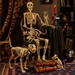 Andere evenementenfeestjes Skeleton Dier 100% Plastic Animal Skeleton Bones Horror Halloween Christmas Prop Animal Crow Skeleton Decoration Year 230823