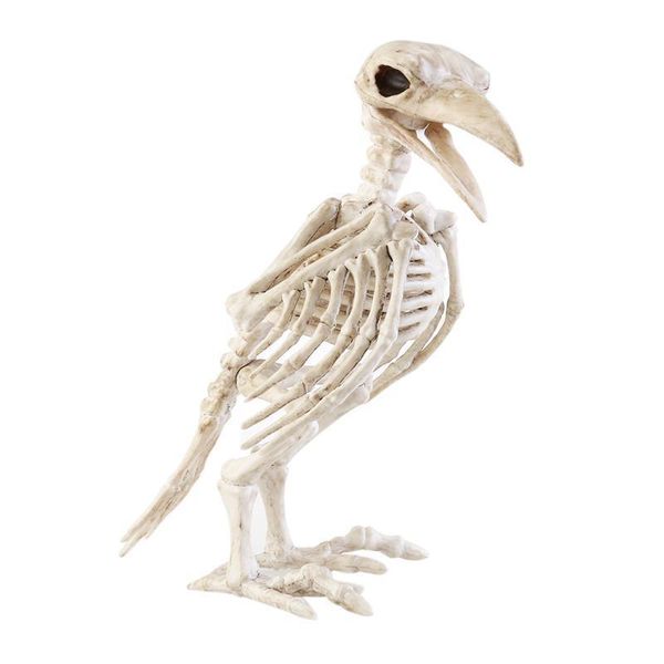 Autres fournitures de fête festives Crazy Bone Skeleton Raven Plastique Animal Bones Horreur Halloween Décoration Prop Bird Crow 220922