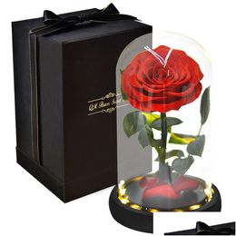 Andere feestelijke feestartikelen Eeuwige rozenbloem in glazen koepel met houten basis en warme licht Valentijnsdag Geschenkdruppel de dhuj9