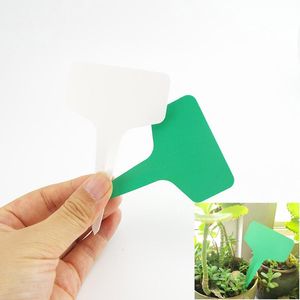 Andere Tuinbenodigdheden 100x PVC-kas Plant T-tags Labels Bloempotten Plastic Markers Ondertekenen Waterdichte Kruiden Gereedschap
