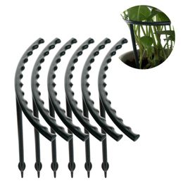 Autres fournitures de jardin 2 pièces/6 pièces support de plante piquets escalade treillis porte-fleur outils couleur noire