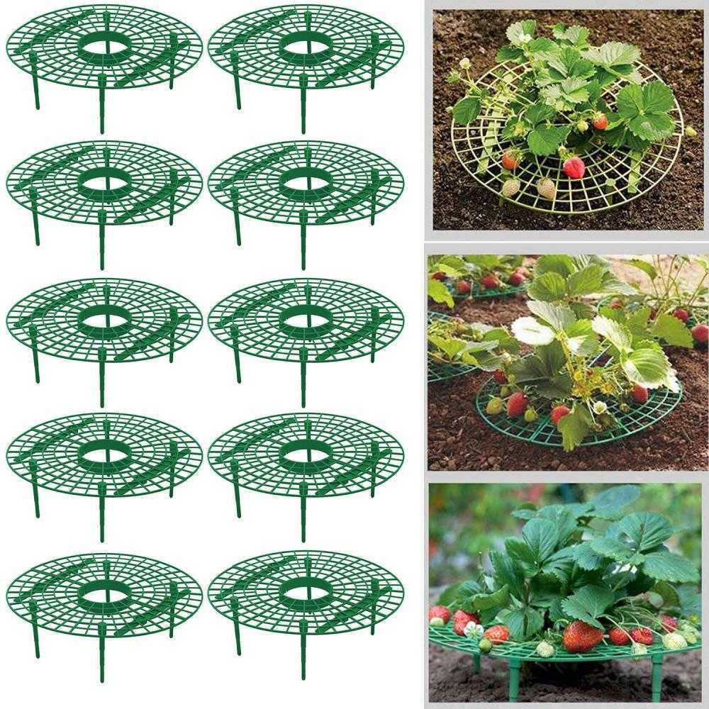 その他の庭用品5-20パックストロベリーサポート植物フルーツスタンド野菜成長ラック園のツールを保護するためのブドウを保護するための庭のツールを避けますG230519