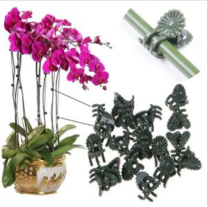 Otros suministros de jardín Clip de fijación de plantas trepadoras Clips de soporte especiales Palanca de flor de orquídea Pinza de bucle para