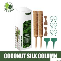 Otros suministros de jardín Carga Yegbong OEM Odm Seda de coco Traje de poste de escalada Soporte de planta Piña verde Palo de palma Marco de pila Bamb DH0UE