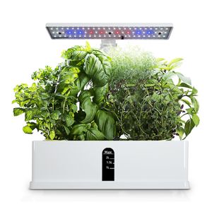 Autres fournitures de jardin Système de culture hydroponique Kit d'herbes d'intérieur Minuterie automatique LED Grow Lights Pompe à eau intelligente pour pots de fleurs à la maison 230113