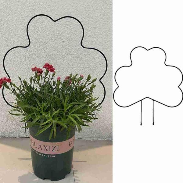 Autres fournitures de jardin en métal fer rond en forme de coeur plante Support de pieu pour bricolage en pot plantes grimpantes fleur légumes vigne support