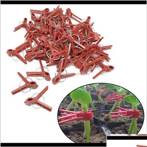 Autres fournitures de jardin Patio Lawn Home Drop Livraison 2021 100pcs Clip de greffage de plantes Outil de jardinage en plastique pour concombre aubergine Dhx0O