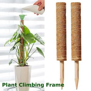 Autres fournitures de jardin Cages pour plantes Prend en charge les attaches pour plantes de coco Bandage Wrap Support d'escalade pour plantes réutilisable Plantes à fleurs Bâton Balcon Jardin Vignes Creeper G230519