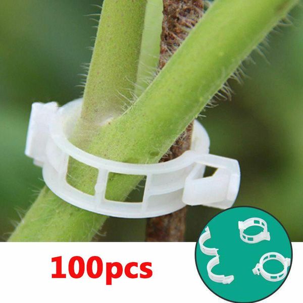 Autres fournitures de jardin Clips de support de plantes pour tomates légumes vignes debout et faire des plantes ficelle vigne, haricots, légumes, fruits, rose.