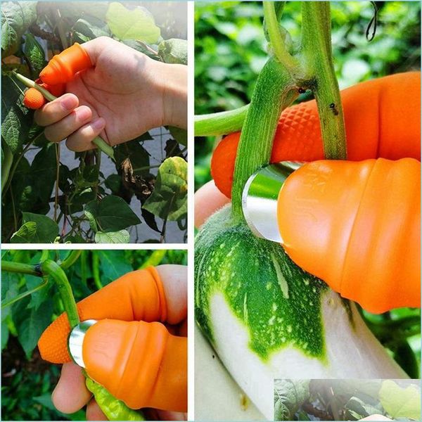 Autres Fournitures De Jardin Couteau De Pouce Fruits Légumes Séparateur De Lame De Plante Facilement Séparateur Outils De Cuisine Drop Delivery Home Patio Pelouse Dhnrk