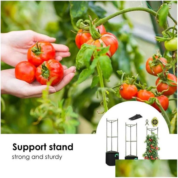 Autres fournitures de jardin Support de support de tomate végétale Support de cadre d'escalade de vigne Plantes verticales Cage Treillis Fleur Plante Pilier Drop D DHK1C