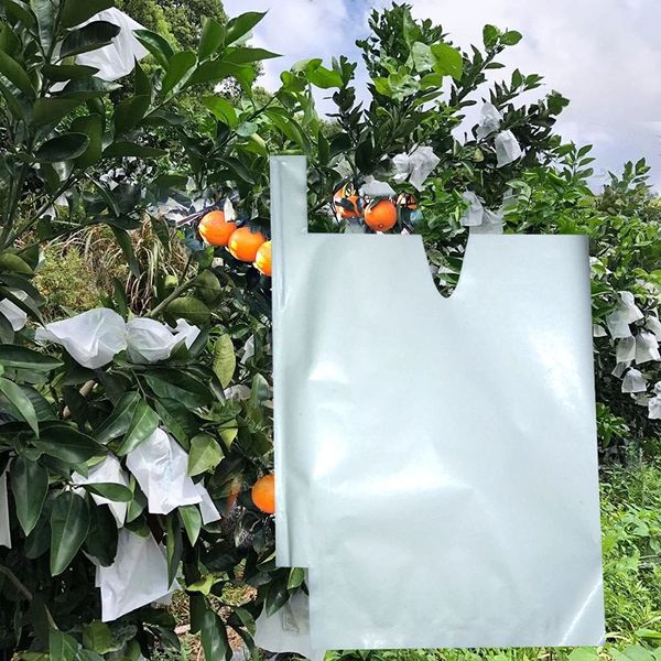 Otras herramientas de jardín 100 Uds bolsas de papel de protección de frutas para uvas de melocotón contra bolsa de insectos Control de plagas impermeable 230707