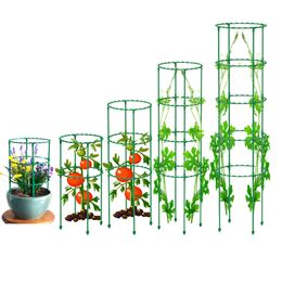 Andere tuingereedschap 25 40 55 70 85cm Plastic Kolom Vine Plant Bracket Pot Flower Tomaten Ondersteuning Beklimframe 230816