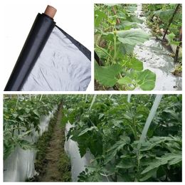 Ander tuingereedschap 50m 0 012mm Boomgaard Fruitboom Zilver Zwart Plastic folie Broeikas Reflecterend Onkruidbestrijding Zilverachtig Zwart Mulch 230710